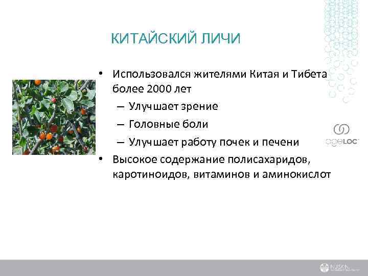 КИТАЙСКИЙ ЛИЧИ • Использовался жителями Китая и Тибета более 2000 лет – Улучшает зрение