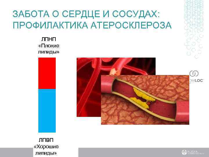 Профилактика сосудов