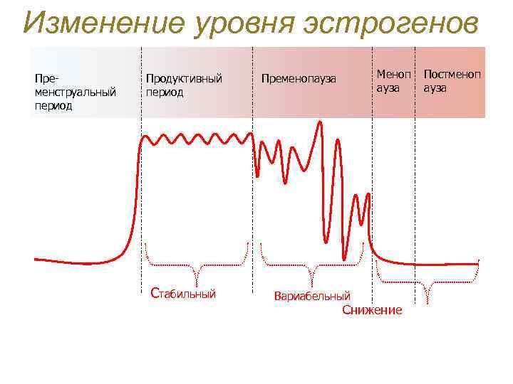 Изменение уровня эстрогенов Пременструальный период Продуктивный период Стабильный Меноп ауза Пременопауза Вариабельный Снижение Постменоп