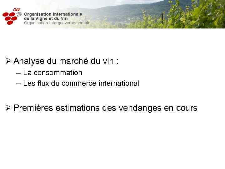  Ø Analyse du marché du vin : – La consommation – Les flux