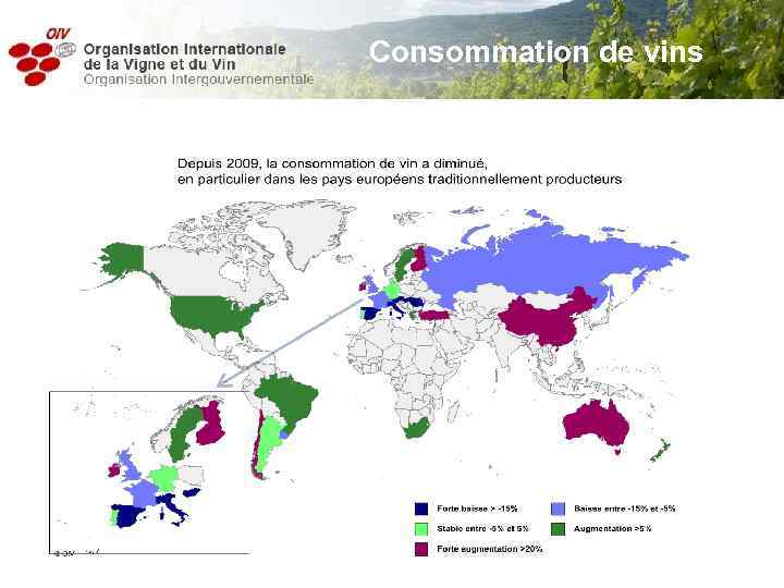 Consommation de vins 