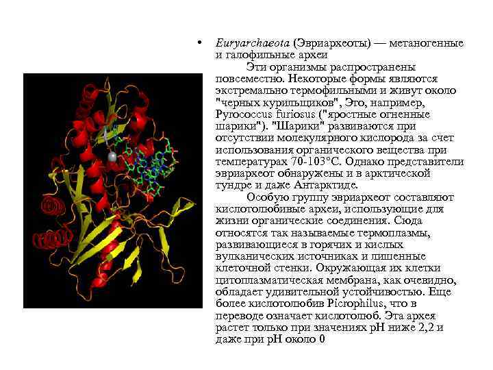 Метаногенные археи поставщики органических соединений в древней биосфере презентация