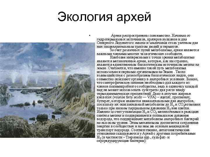 Экология архей • Археи распространены повсеместно. Начиная от гидротермальных источников, кратеров вулканов и дна