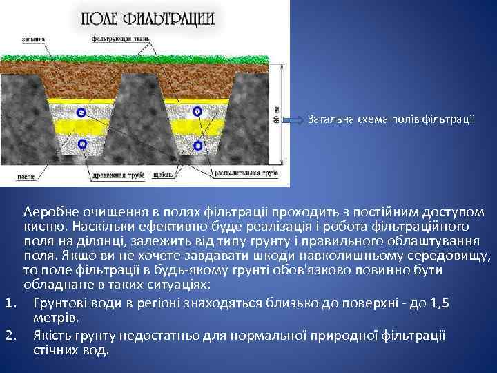 Загальна схема полів фільтраціі Аеробне очищення в полях фільтраціі проходить з постійним доступом кисню.