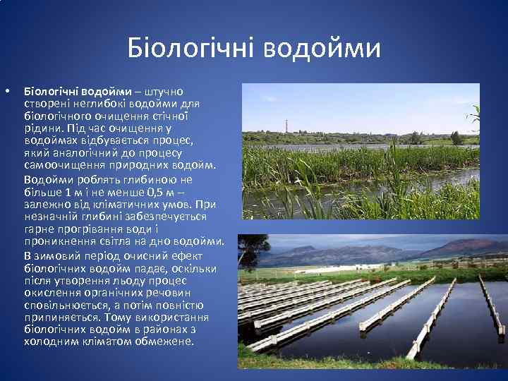 Біологічні водойми • Біологічні водойми – штучно створені неглибокі водойми для біологічного очищення стічної