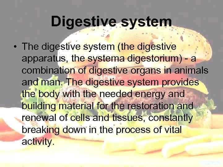 Digestive system • The digestive system (the digestive apparatus, the systema digestorium) - a