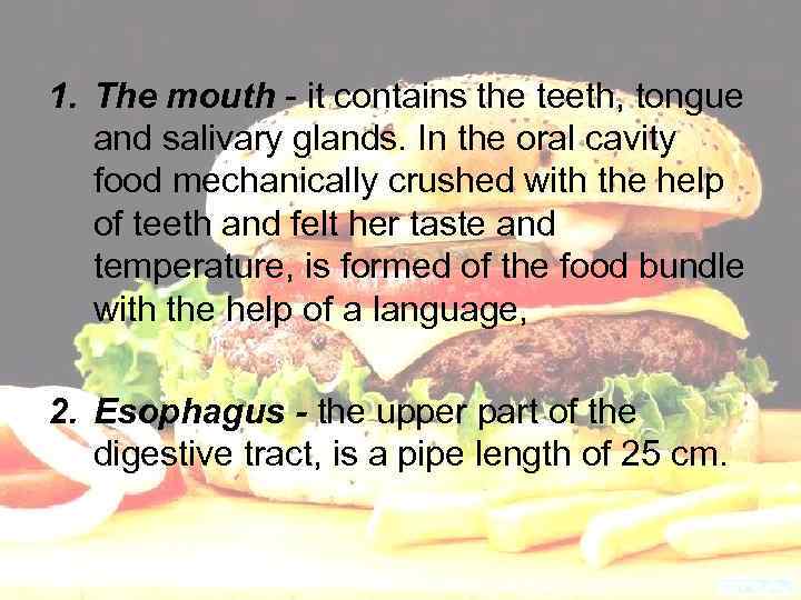 1. The mouth - it contains the teeth, tongue and salivary glands. In the