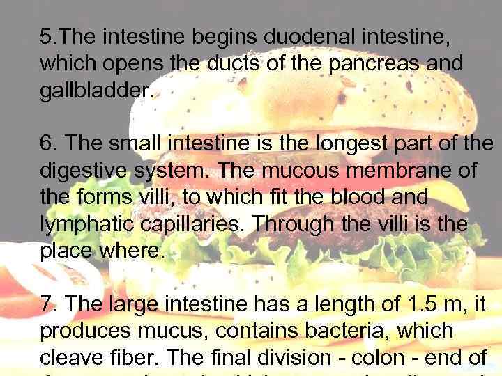 5. The intestine begins duodenal intestine, which opens the ducts of the pancreas and