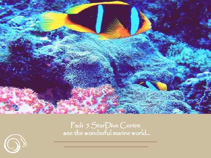 Padi 5 Star. Dive Centre see the wonderful marine world… 