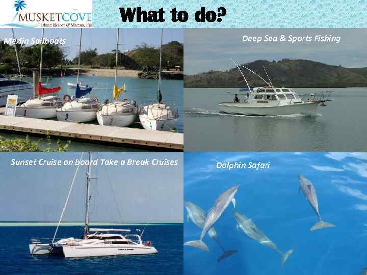 What to do? Merlin Sailboats Sunset Cruise on board Take a Break Cruises Deep