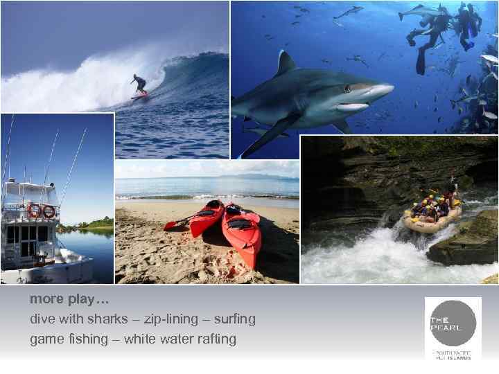 more play… dive with sharks – zip-lining – surfing game fishing – white water