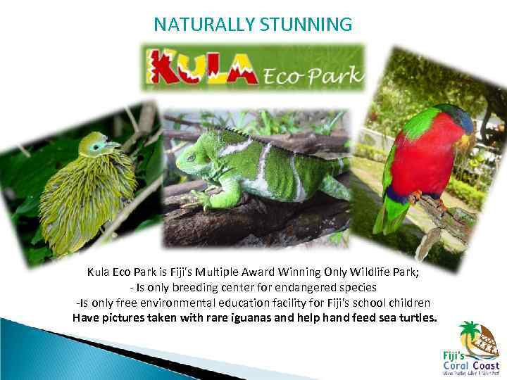 NATURALLY STUNNING Kula Eco Park is Fiji's Multiple Award Winning Only Wildlife Park; -