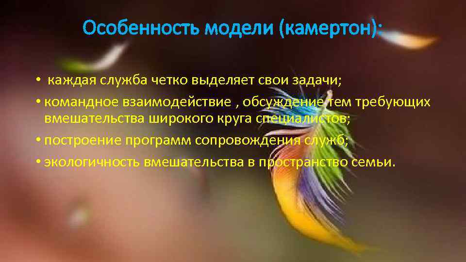 Особенность модели (камертон): • каждая служба четко выделяет свои задачи; • командное взаимодействие ,