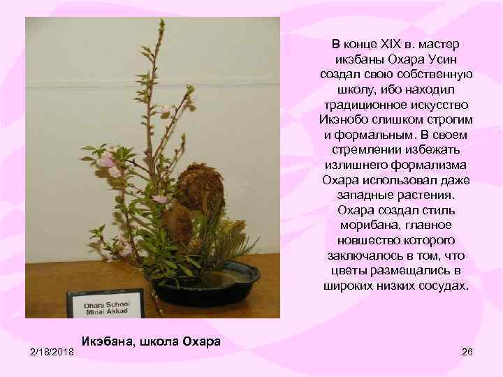 В конце XIX в. мастер икэбаны Охара Усин создал свою собственную школу, ибо находил