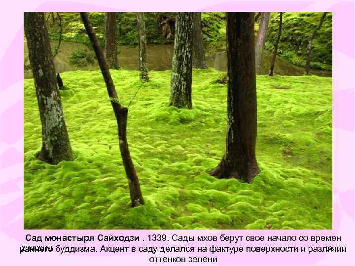 Сад монастыря Сайходзи. 1339. Сады мхов берут свое начало со времен 2/18/2018 33 раннего