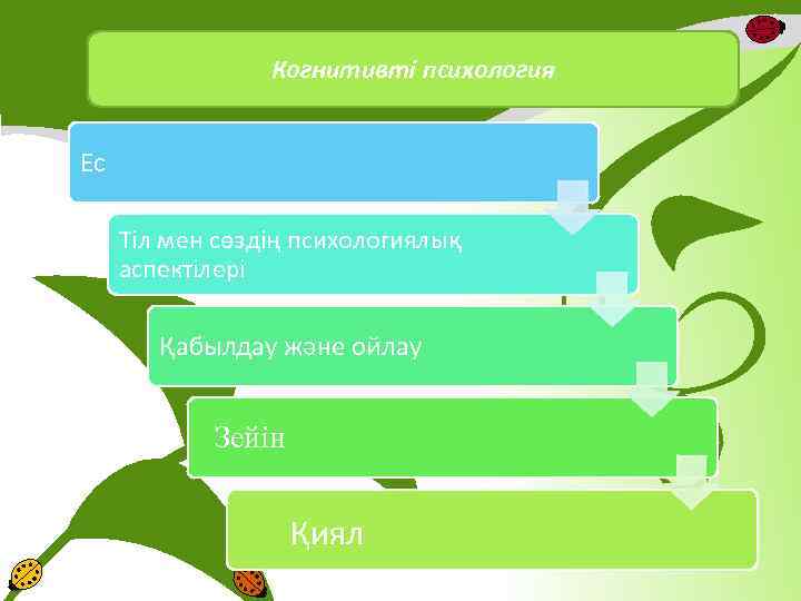 Когнитивті психология Ес Тіл мен сөздің психологиялық аспектілері Қабылдау және ойлау Зейін Қиял 