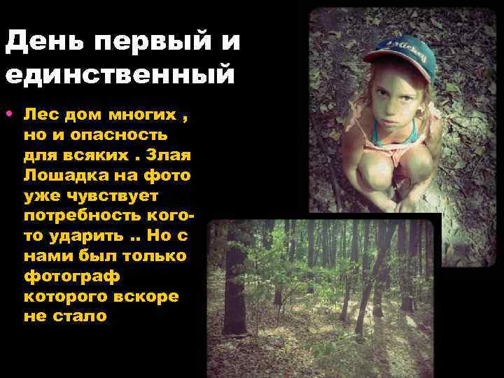 День первый и единственный • Лес дом многих , но и опасность для всяких.