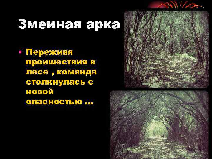 Змеиная арка • Переживя проишествия в лесе , команда столкнулась с новой опасностью. .