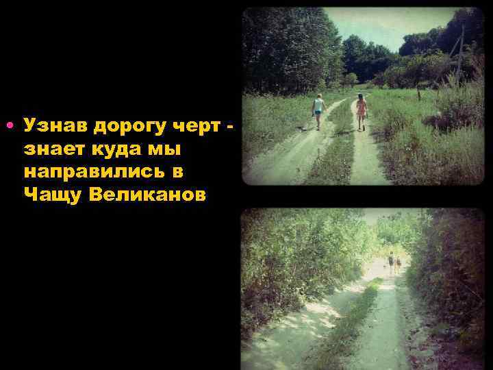  • Узнав дорогу черт знает куда мы направились в Чащу Великанов 