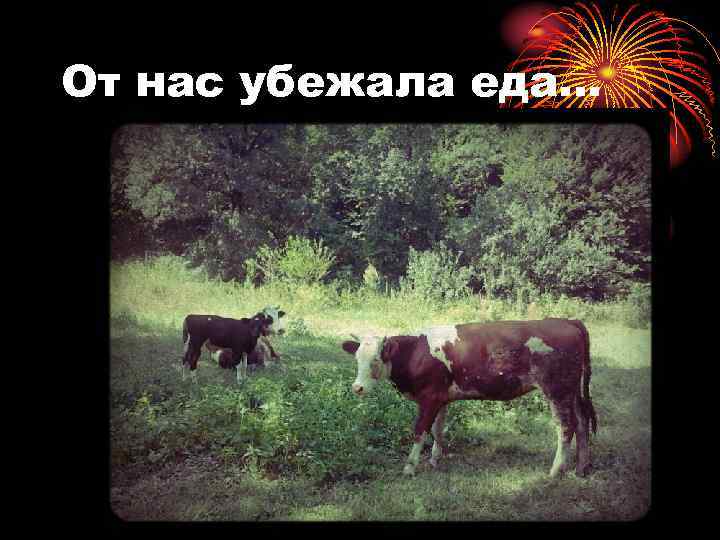 От нас убежала еда… 
