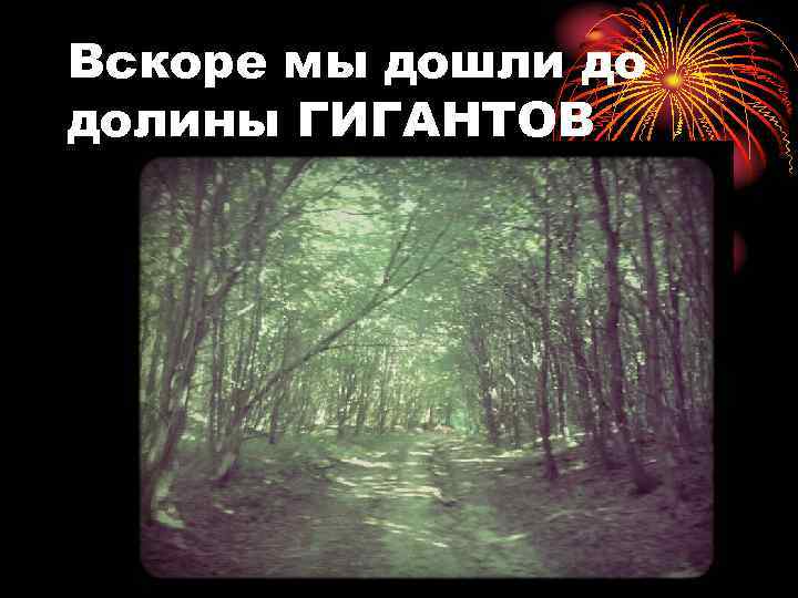 Вскоре мы дошли до долины ГИГАНТОВ 