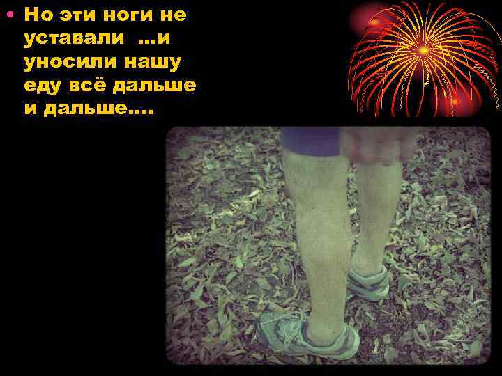  • Но эти ноги не уставали …и уносили нашу еду всё дальше и