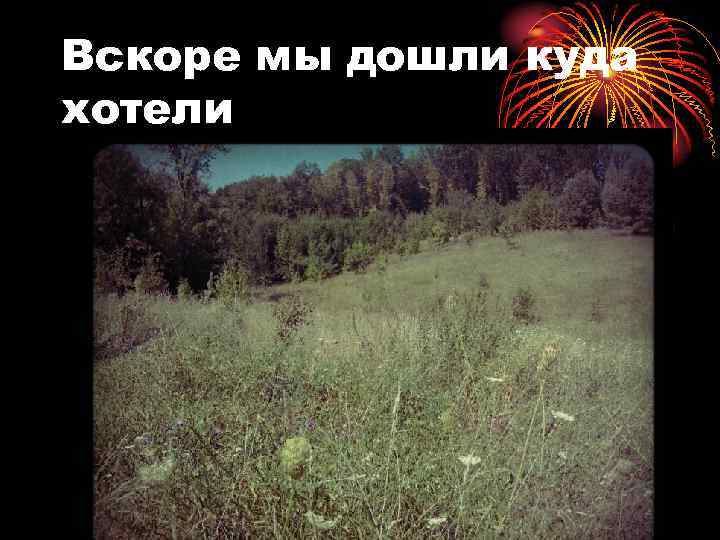 Вскоре мы дошли куда хотели 