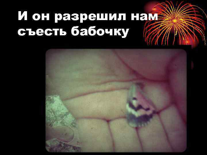 И он разрешил нам съесть бабочку 