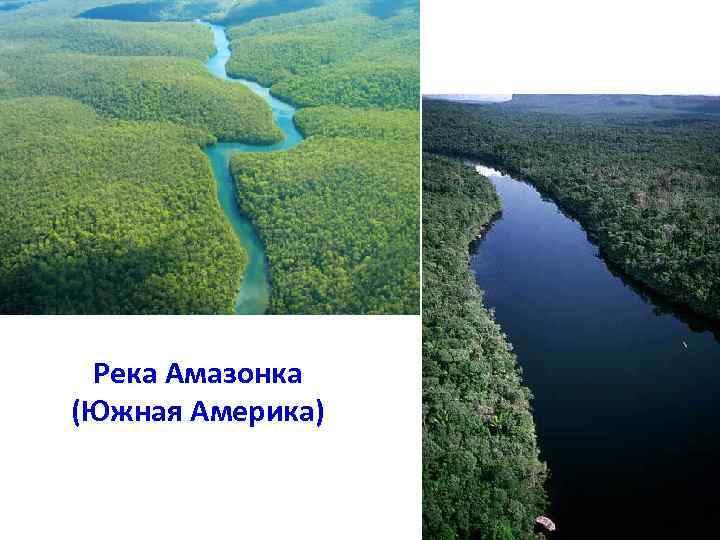 Река Амазонка (Южная Америка) 