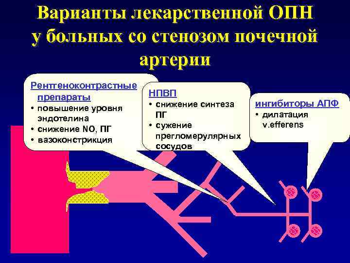 Варианты лекарственной ОПН у больных со стенозом почечной артерии Рентгеноконтрастные НПВП препараты • повышение