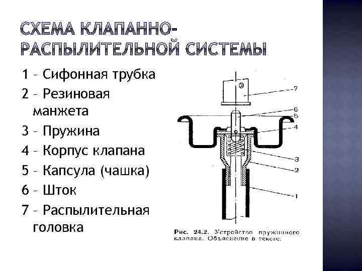 1 – Сифонная трубка 2 – Резиновая манжета 3 – Пружина 4 – Корпус
