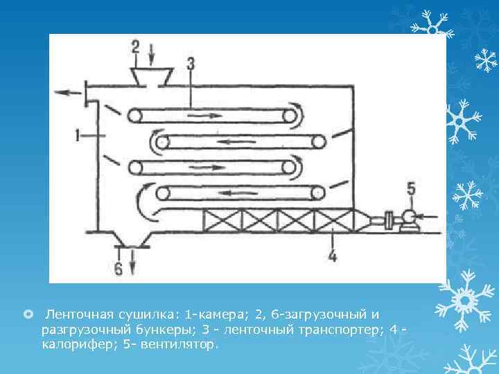  Ленточная сушилка: 1 -камера; 2, 6 -загрузочный и разгрузочный бункеры; 3 - ленточный