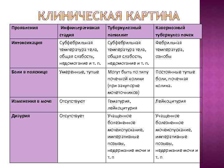 Проявления Инфильтративная стадия Туберкулезный папиллит Кавернозный туберкулез почек Интоксикация Субфебрильная температура тела, общая слабость,