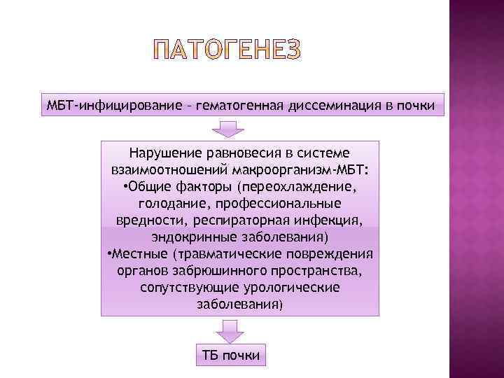 МБТ-инфицирование – гематогенная диссеминация в почки Нарушение равновесия в системе взаимоотношений макроорганизм-МБТ: • Общие