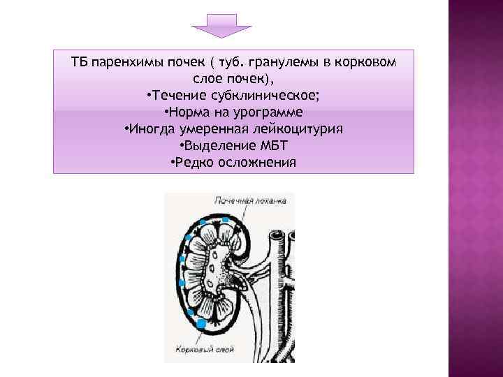 Типы паренхимы