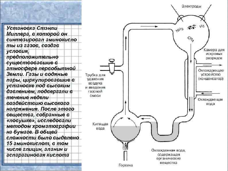 Установка Стэнли Миллера, в которой он синтезировал аминокисло ты из газов, создав условия, предположительно