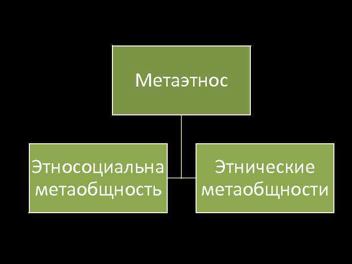 Метаэтнос Этносоциальна метаобщность Этнические метаобщности 