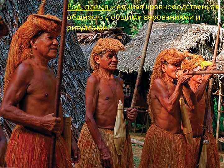 Род, племя – единая кровнородственная общность с общими верованиями и ритуалами. 