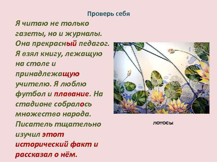 Проверь себя Я читаю не только газеты, но и журналы. Она прекрасный педагог. Я