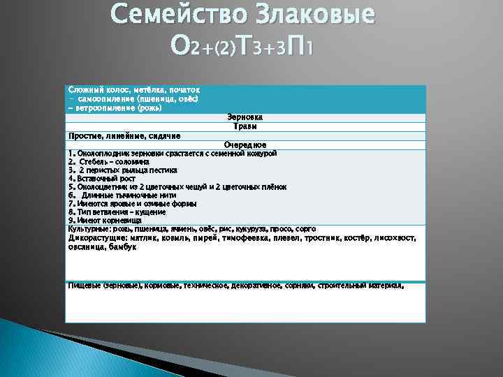 Семейство Злаковые О 2+(2)Т 3+3 П 1 Сложный колос, метёлка, початок - самоопыление (пшеница,