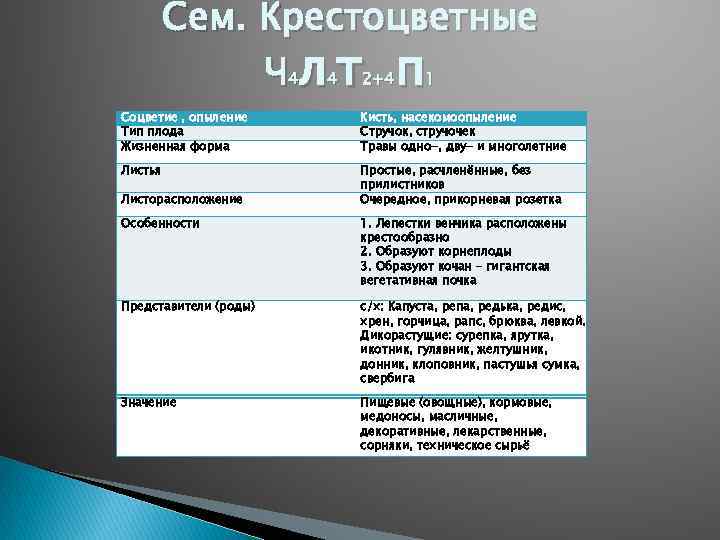 Сем. Крестоцветные Ч 4 л 4 т2+4 п 1 Соцветие , опыление Тип плода