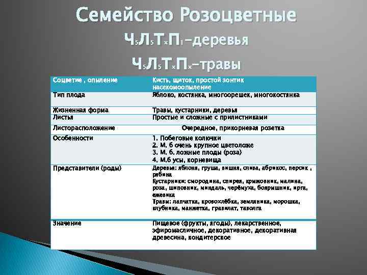 Семейство Розоцветные ч л т п -деревья ч л т п -травы 5 5