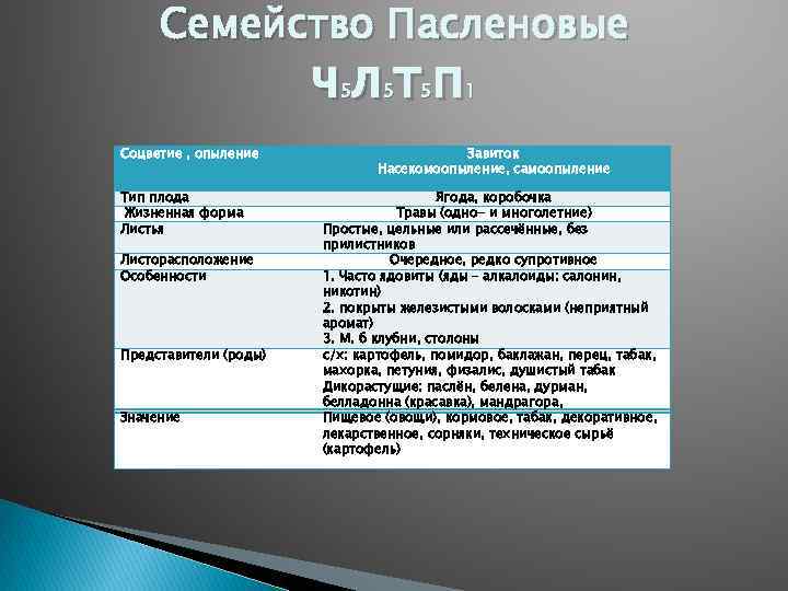 Семейство Пасленовые члтп 5 Соцветие , опыление Тип плода Жизненная форма Листья Листорасположение Особенности