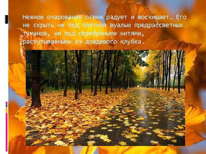 Нежное очарование осени радует и восхищает. Его не скрыть ни под плотной вуалью предрассветных