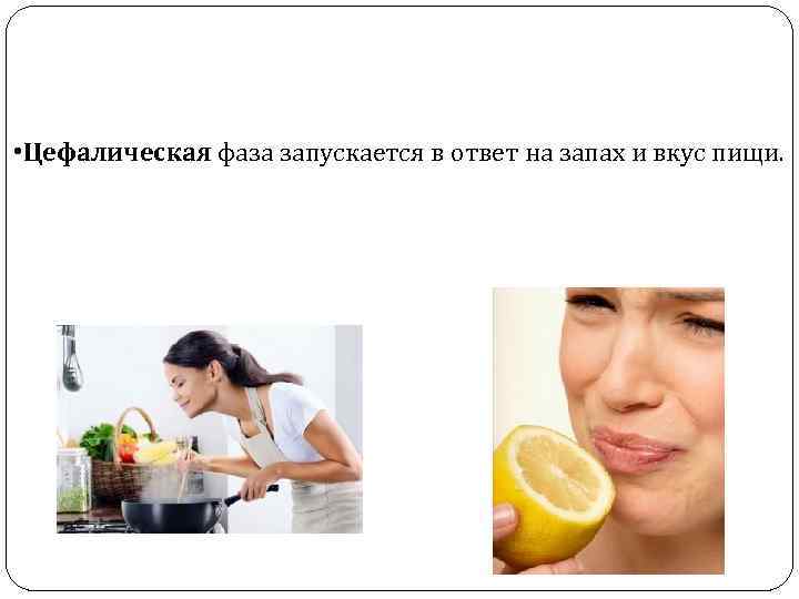  • Цефалическая фаза запускается в ответ на запах и вкус пищи. 