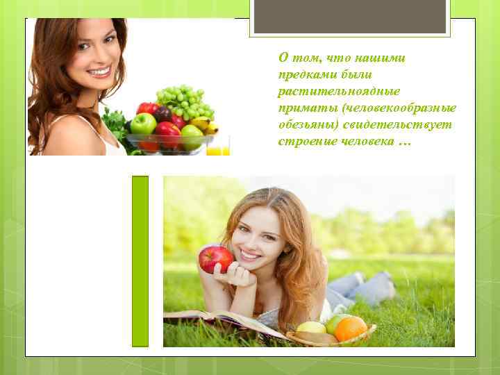 О том, что нашими предками были растительноядные приматы (человекообразные обезьяны) свидетельствует строение человека …