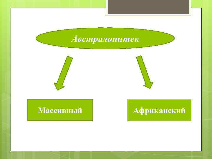 Австралопитек Массивный Африканский 