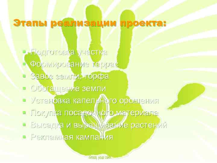 Этапы реализации проекта: § § § § Подготовка участка Формирование террас Завоз земли, торфа