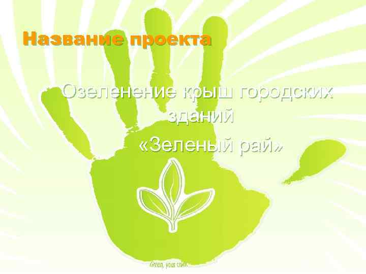 Название проекта Озеленение крыш городских зданий «Зеленый рай» 