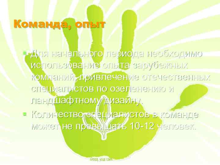 Команда, опыт § Для начального периода необходимо использование опыта зарубежных компаний, привлечение отечественных специалистов